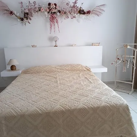 Rose's House *
