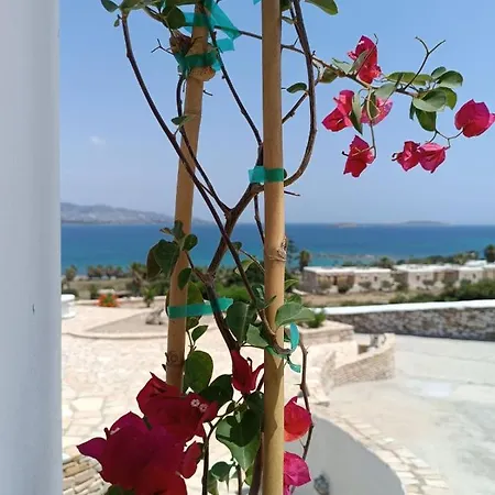 Rose's House Grotta
