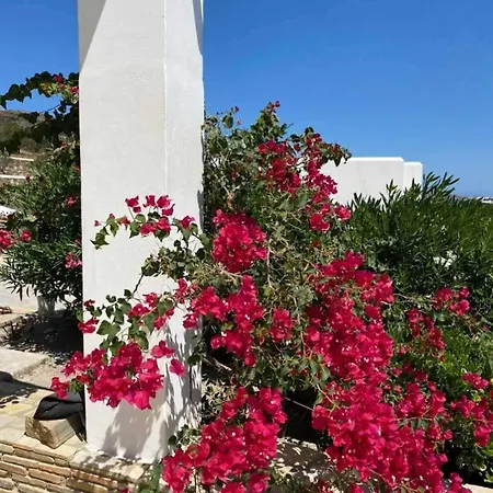 Rose's House Nyaraló