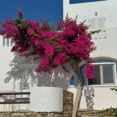 Rose's House Grotta
