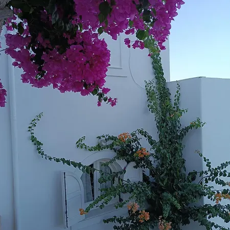 Rose's House