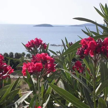 בית נופש Rose's House